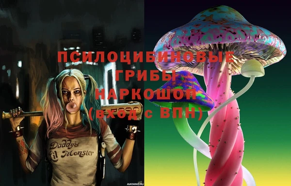 экстази Арсеньев