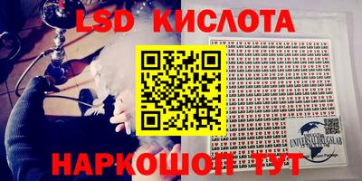 индика Кандалакша
