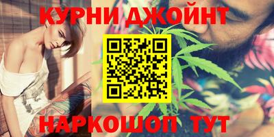 индика Кандалакша
