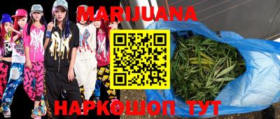 индика Кандалакша