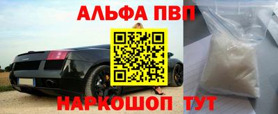 индика Кандалакша