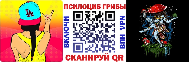закладки  Троицк  Галлюциногенные грибы Magic Shrooms 