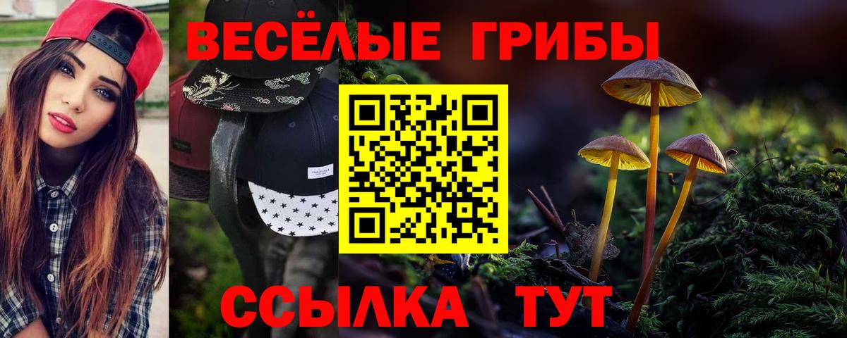 Галлюциногенные грибы MAGIC MUSHROOMS  Вход с VPN  наркотики  Троицк 