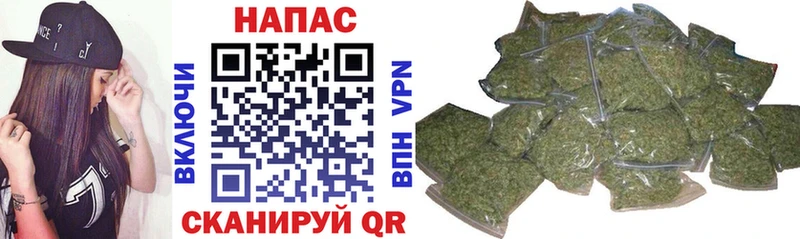 Бошки марихуана SATIVA & INDICA  где можно купить наркотик  Троицк 